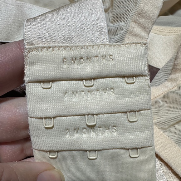 Harper Wilde bras - Picture 5 of 9